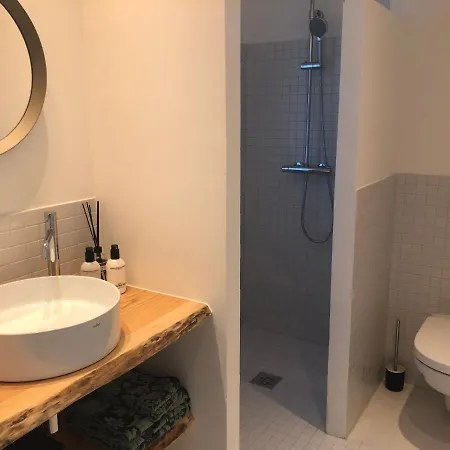 Ankogel Lofts Apartment Mallnitz