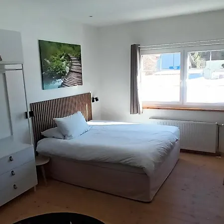 Ankogel Lofts Apartment Mallnitz