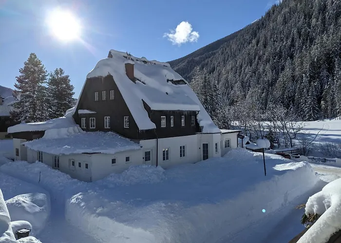 Apartment Ankogel Lofts Mallnitz